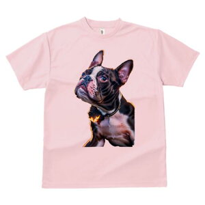 {XgeA TVc  j[NfUCfB[X t@  t vg lJWA 킢 lԗp Mtg I ҏ΍  {XgeA