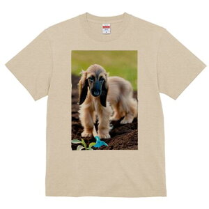 AtKnEh TVc  j[NfUCfB[X t@  t vg lJWA 킢 lԗp Mtg I ҏ΍ | AtKnEh XRbv 