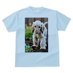 AtKnEh TVc  j[NfUCfB[X t@  t vg lJWA 킢 lԗp Mtg I ҏ΍  AtKnEh 