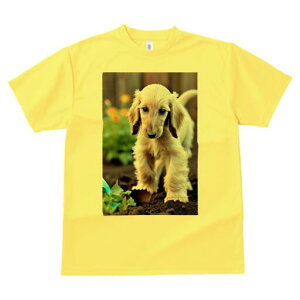 AtKnEh TVc  j[NfUCfB[X t@  t vg lJWA 킢 lԗp Mtg I ҏ΍  AtKnEh 