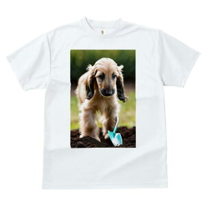 AtKnEh TVc  j[NfUCfB[X t@  t vg lJWA 킢 lԗp Mtg I ҏ΍  AtKnEh Vx y