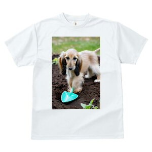 AtKnEh TVc  j[NfUCfB[X t@  t vg lJWA 킢 lԗp Mtg I ҏ΍ Vx AtKnEh 