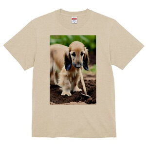 AtKnEh TVc  j[NfUCfB[X t@  t vg lJWA 킢 lԗp Mtg I ҏ΍ Vx AtKnEh y