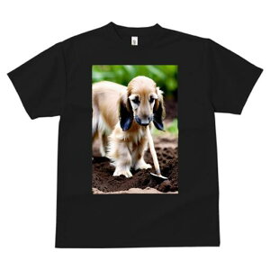 AtKnEh TVc  j[NfUCfB[X t@  t vg lJWA 킢 lԗp Mtg I ҏ΍ Vx AtKnEh y