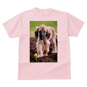 AtKnEh TVc  j[NfUCfB[X t@  t vg lJWA 킢 lԗp Mtg I ҏ΍  AtKnEh  y