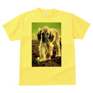 AtKnEh TVc  j[NfUCfB[X t@  t vg lJWA 킢 lԗp Mtg I ҏ΍  AtKnEh  y