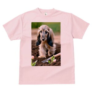 AtKnEh TVc  j[NfUCfB[X t@  t vg lJWA 킢 lԗp Mtg I ҏ΍ y AtKnEh  XRbv `[