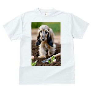 AtKnEh TVc  j[NfUCfB[X t@  t vg lJWA 킢 lԗp Mtg I ҏ΍ y AtKnEh  XRbv `[