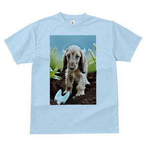 AtKnEh TVc  j[NfUCfB[X t@  t vg lJWA 킢 lԗp Mtg I ҏ΍ | AtKnEh  y XRbv