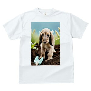 AtKnEh TVc  j[NfUCfB[X t@  t vg lJWA 킢 lԗp Mtg I ҏ΍ | AtKnEh  y XRbv