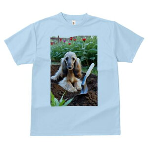 AtKnEh TVc  j[NfUCfB[X t@  t vg lJWA 킢 lԗp Mtg I ҏ΍  AtKnEh  y Vx