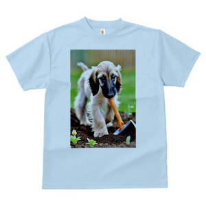 AtKnEh TVc  j[NfUCfB[X t@  t vg lJWA 킢 lԗp Mtg I ҏ΍  AtKnEh y Vx 