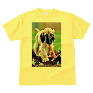 AtKnEh TVc  j[NfUCfB[X t@  t vg lJWA 킢 lԗp Mtg I ҏ΍  AtKnEh y Vx 