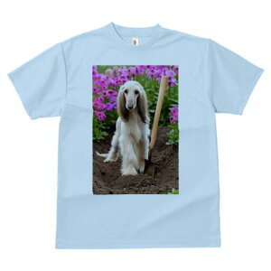 AtKnEh TVc  j[NfUCfB[X t@  t vg lJWA 킢 lԗp Mtg I ҏ΍  AtKnEh  Vx y