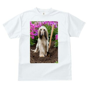 AtKnEh TVc  j[NfUCfB[X t@  t vg lJWA 킢 lԗp Mtg I ҏ΍  AtKnEh  Vx y