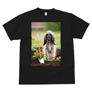 AtKnEh TVc  j[NfUCfB[X t@  t vg lJWA 킢 lԗp Mtg I ҏ΍ Vx AtKnEh  