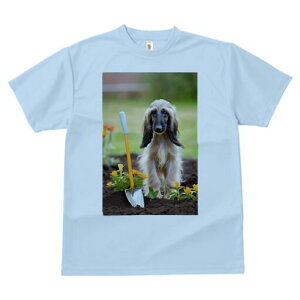 AtKnEh TVc  j[NfUCfB[X t@  t vg lJWA 킢 lԗp Mtg I ҏ΍ Vx AtKnEh  