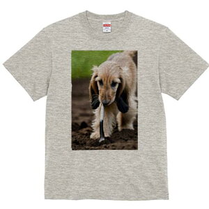 AtKnEh TVc  j[NfUCfB[X t@  t vg lJWA 킢 lԗp Mtg I ҏ΍ Vx AtKnEh 