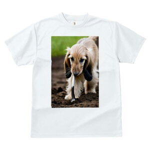 AtKnEh TVc  j[NfUCfB[X t@  t vg lJWA 킢 lԗp Mtg I ҏ΍ Vx AtKnEh 