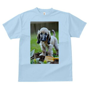 AtKnEh TVc  j[NfUCfB[X t@  t vg lJWA 킢 lԗp Mtg I ҏ΍  AtKnEh Vx y