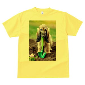 AtKnEh TVc  j[NfUCfB[X t@  t vg lJWA 킢 lԗp Mtg I ҏ΍ Vx AtKnEh  y 