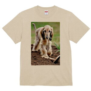 AtKnEh TVc  j[NfUCfB[X t@  t vg lJWA 킢 lԗp Mtg I ҏ΍ y AtKnEh  Vx