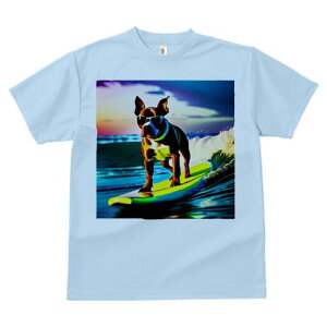 {XgeA TVc  j[NfUCfB[X t@  t vg lJWA 킢 lԗp Mtg I ҏ΍ T[tB {XgeA C g TO