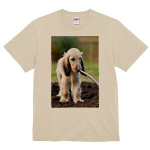 AtKnEh TVc  j[NfUCfB[X t@  t vg lJWA 킢 lԗp Mtg I ҏ΍ y AtKnEh