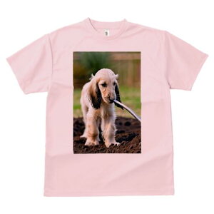 AtKnEh TVc  j[NfUCfB[X t@  t vg lJWA 킢 lԗp Mtg I ҏ΍ y AtKnEh