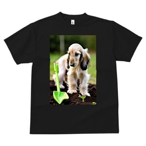 AtKnEh TVc  j[NfUCfB[X t@  t vg lJWA 킢 lԗp Mtg I ҏ΍ Vx AtKnEh c