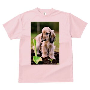 AtKnEh TVc  j[NfUCfB[X t@  t vg lJWA 킢 lԗp Mtg I ҏ΍ Vx AtKnEh c