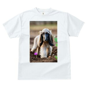 AtKnEh TVc  j[NfUCfB[X t@  t vg lJWA 킢 lԗp Mtg I ҏ΍  AtKnEh y