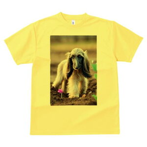 AtKnEh TVc  j[NfUCfB[X t@  t vg lJWA 킢 lԗp Mtg I ҏ΍  AtKnEh y