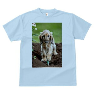 AtKnEh TVc  j[NfUCfB[X t@  t vg lJWA 킢 lԗp Mtg I ҏ΍  AtKnEh  y