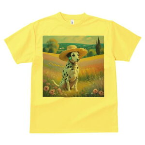 _VA TVc  j[NfUCfB[X t@  t vg lJWA 킢 lԗp Mtg I ҏ΍ Xq _VA  i