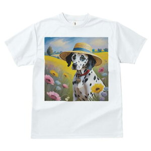 _VA TVc  j[NfUCfB[X t@  t vg lJWA 킢 lԗp Mtg I ҏ΍ Xq _VA  i