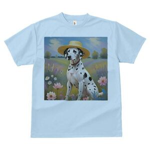 _VA TVc  j[NfUCfB[X t@  t vg lJWA 킢 lԗp Mtg I ҏ΍ Xq _VA 