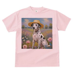 _VA TVc  j[NfUCfB[X t@  t vg lJWA 킢 lԗp Mtg I ҏ΍ Xq _VA 