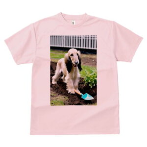 AtKnEh TVc  j[NfUCfB[X t@  t vg lJWA 킢 lԗp Mtg I ҏ΍  AtKnEh | Vx