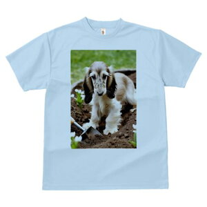 AtKnEh TVc  j[NfUCfB[X t@  t vg lJWA 킢 lԗp Mtg I ҏ΍ y AtKnEh Vx 