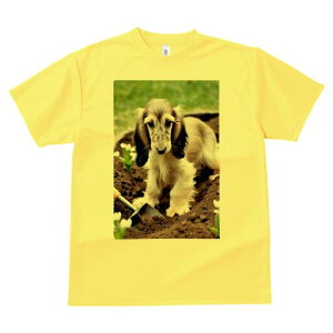 AtKnEh TVc  j[NfUCfB[X t@  t vg lJWA 킢 lԗp Mtg I ҏ΍ y AtKnEh Vx 