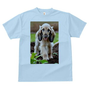 AtKnEh TVc  j[NfUCfB[X t@  t vg lJWA 킢 lԗp Mtg I ҏ΍ y AtKnEh 