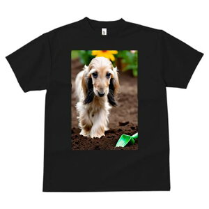 AtKnEh TVc  j[NfUCfB[X t@  t vg lJWA 킢 lԗp Mtg I ҏ΍  AtKnEh  y Vx