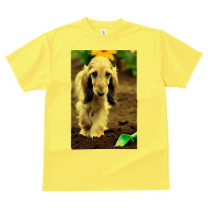 AtKnEh TVc  j[NfUCfB[X t@  t vg lJWA 킢 lԗp Mtg I ҏ΍  AtKnEh  y Vx