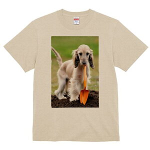 AtKnEh TVc  j[NfUCfB[X t@  t vg lJWA 킢 lԗp Mtg I ҏ΍ Vx AtKnEh 