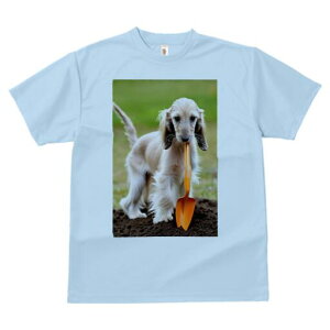 AtKnEh TVc  j[NfUCfB[X t@  t vg lJWA 킢 lԗp Mtg I ҏ΍ Vx AtKnEh 