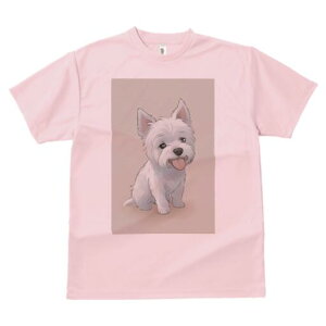 EGXgnChzCgeA TVc  j[NfUCfB[X t@  t vg lJWA 킢 lԗp Mtg I ҏ΍ EGXgnChz