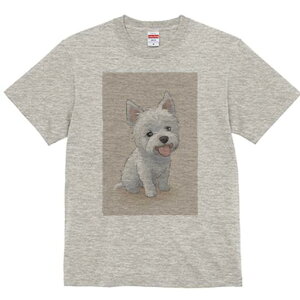 EGXgnChzCgeA TVc  j[NfUCY LbY t@  t vg lJWA 킢 lԗp Mtg I ҏ΍ EGXgnCh