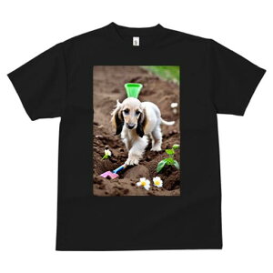 AtKnEh TVc  j[NfUCfB[X t@  t vg lJWA 킢 lԗp Mtg I ҏ΍ y AtKnEh  Vx 