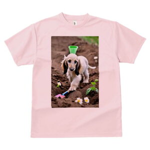 AtKnEh TVc  j[NfUCfB[X t@  t vg lJWA 킢 lԗp Mtg I ҏ΍ y AtKnEh  Vx 